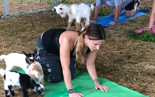 a person kneeling on grass with dogs