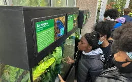 a group of people looking at a screen