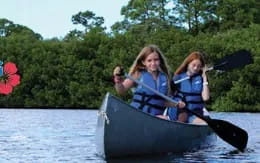 a group of girls rowing a boat