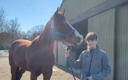a person standing next to a horse
