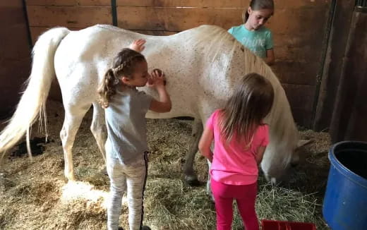 a group of children petting a horse