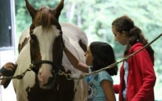 a group of people petting a horse