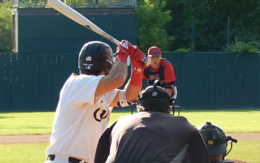 a baseball player up to bat