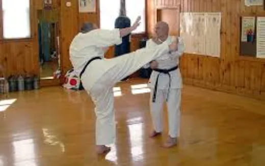 a group of people in karate uniforms