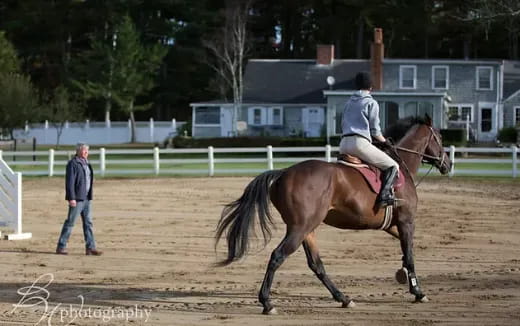 a person riding a horse