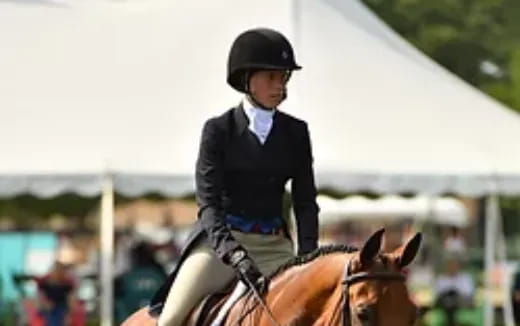 a person riding a horse