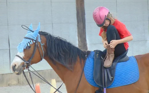 a person riding a horse