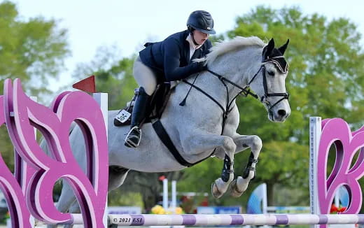 a person jumping a horse