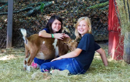 a person and a girl petting a dog