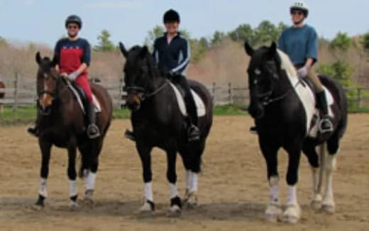 a group of people riding horses