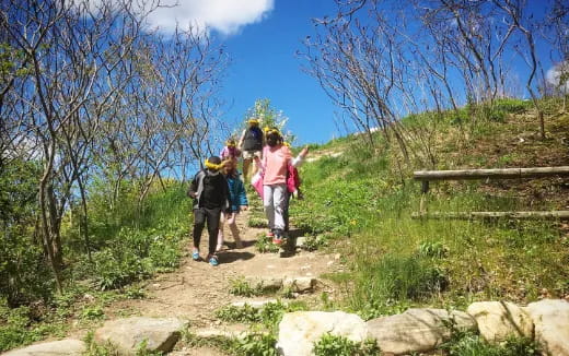 a group of people walking on a trail in a grassy area