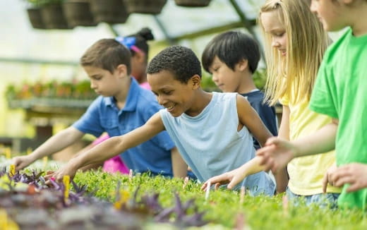 a group of people looking at plants