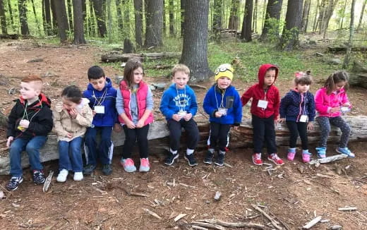 a group of children sitting on a log in the woods
