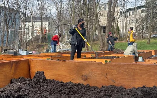 a group of people working in a garden