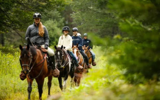 a group of people riding horses