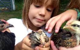 a person holding a group of birds