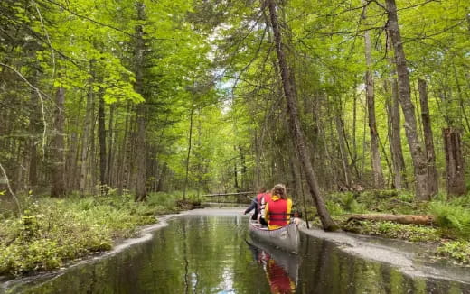 a group of people in a canoe on a river in the woods