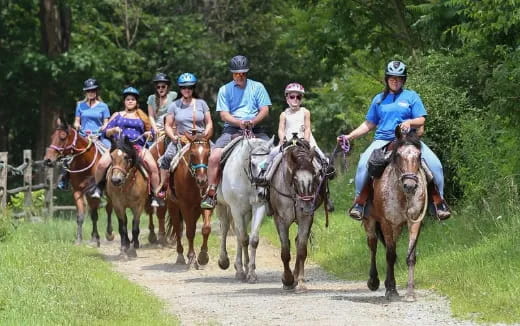 a group of people riding horses
