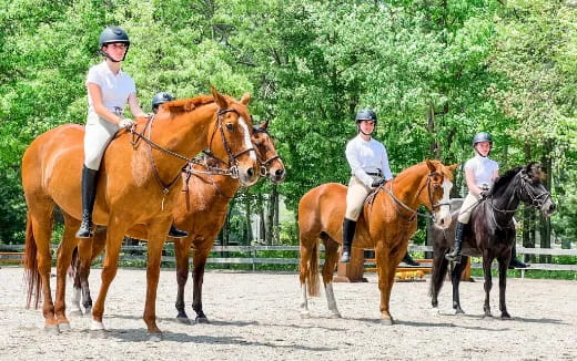 a group of people riding horses