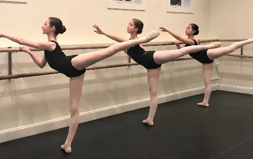 a group of women exercising