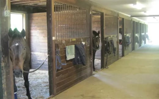 a horse in a stable