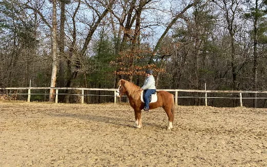 a person riding a horse