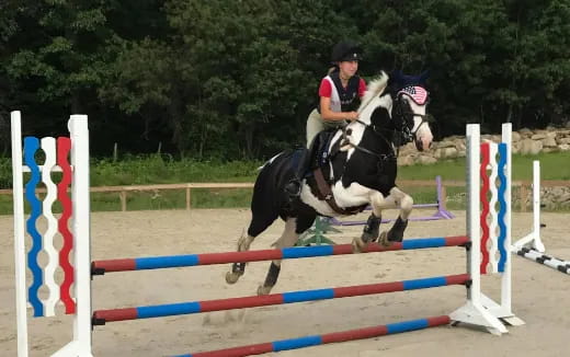 a person riding a horse