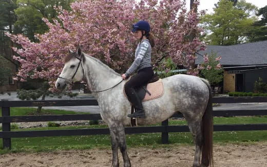 a person riding a horse