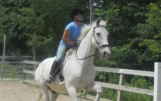 a person riding a white horse