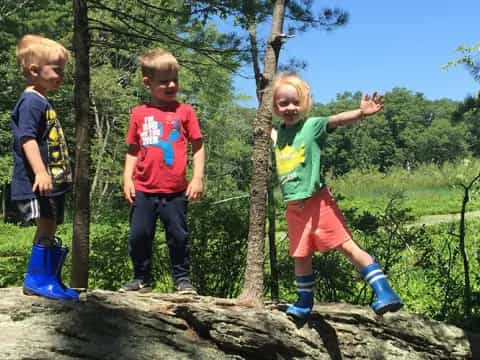 a group of kids standing on a tree stump