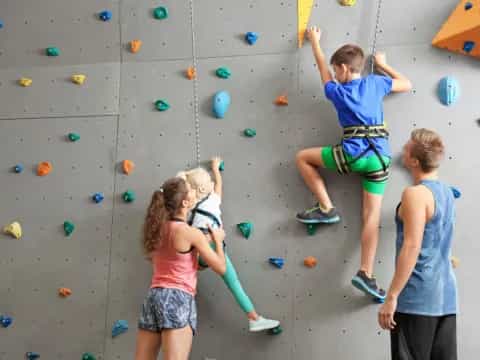a group of kids climbing a rock wall