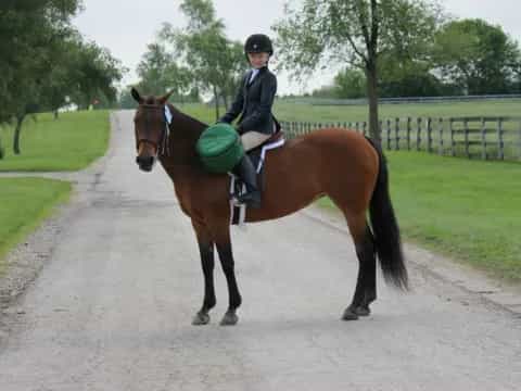 a person riding a horse