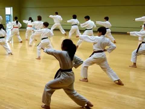 a group of people in karate uniforms