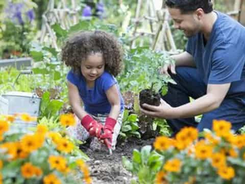 a person and a child planting flowers
