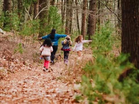 a group of people walking on a trail in the woods