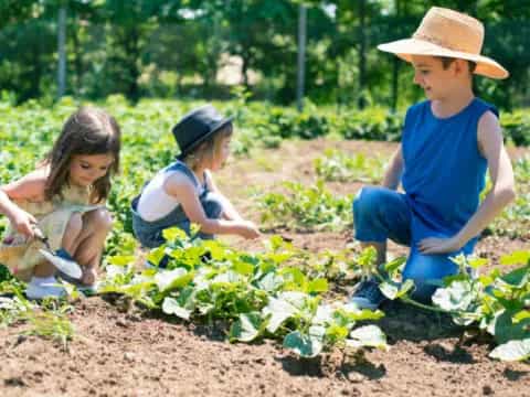 a few children working in a garden