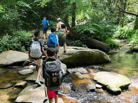 a group of people hiking in the woods