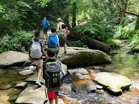 a group of people hiking in the woods