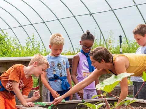 a group of people looking at plants