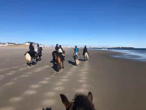 a group of people riding horses on a beach