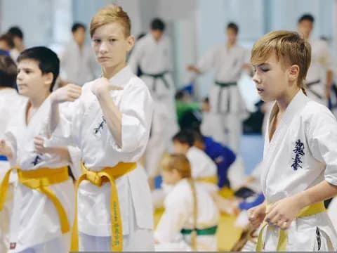 a group of children in karate uniforms