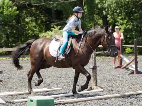 a person riding a horse