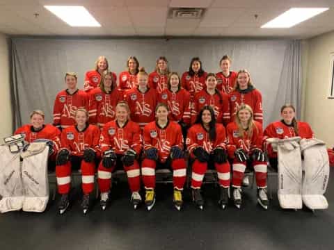 a group of people in hockey uniforms